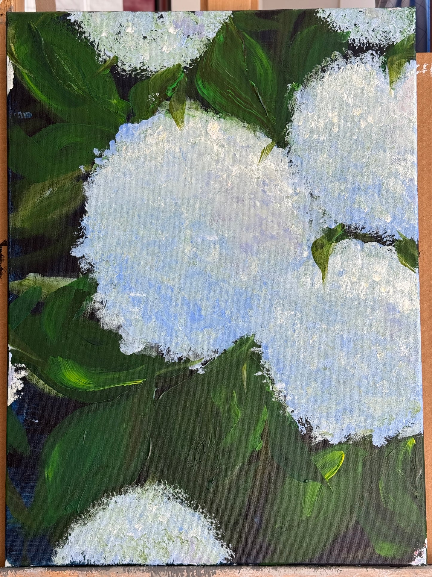 Big Blue Hydrangeas